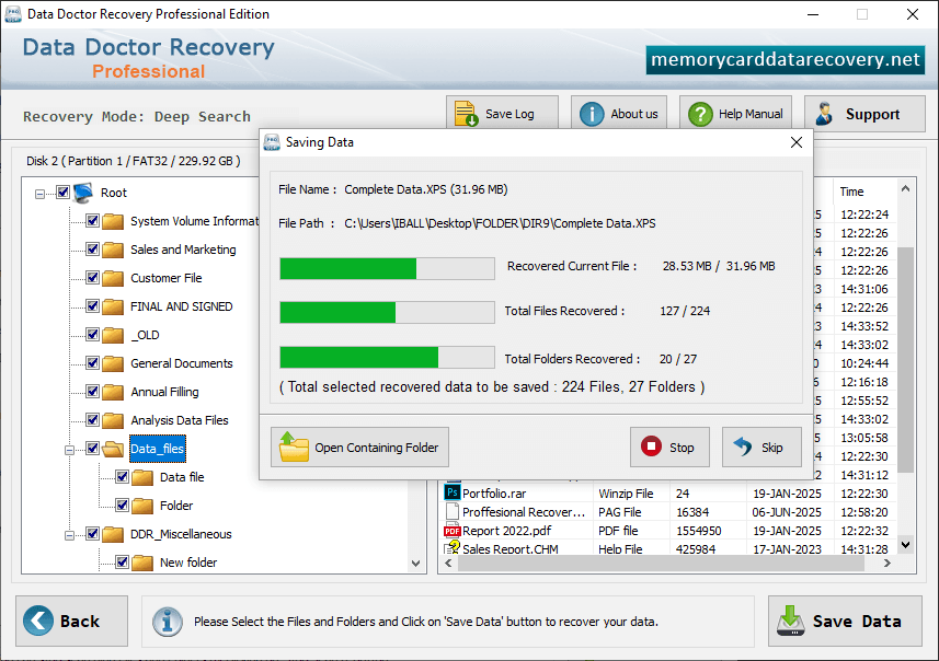 Data Recovery Professional